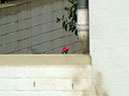 %_tempFileNameQuerbeet_58%