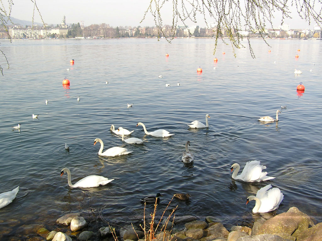 %_tempFileNameBild1058_%