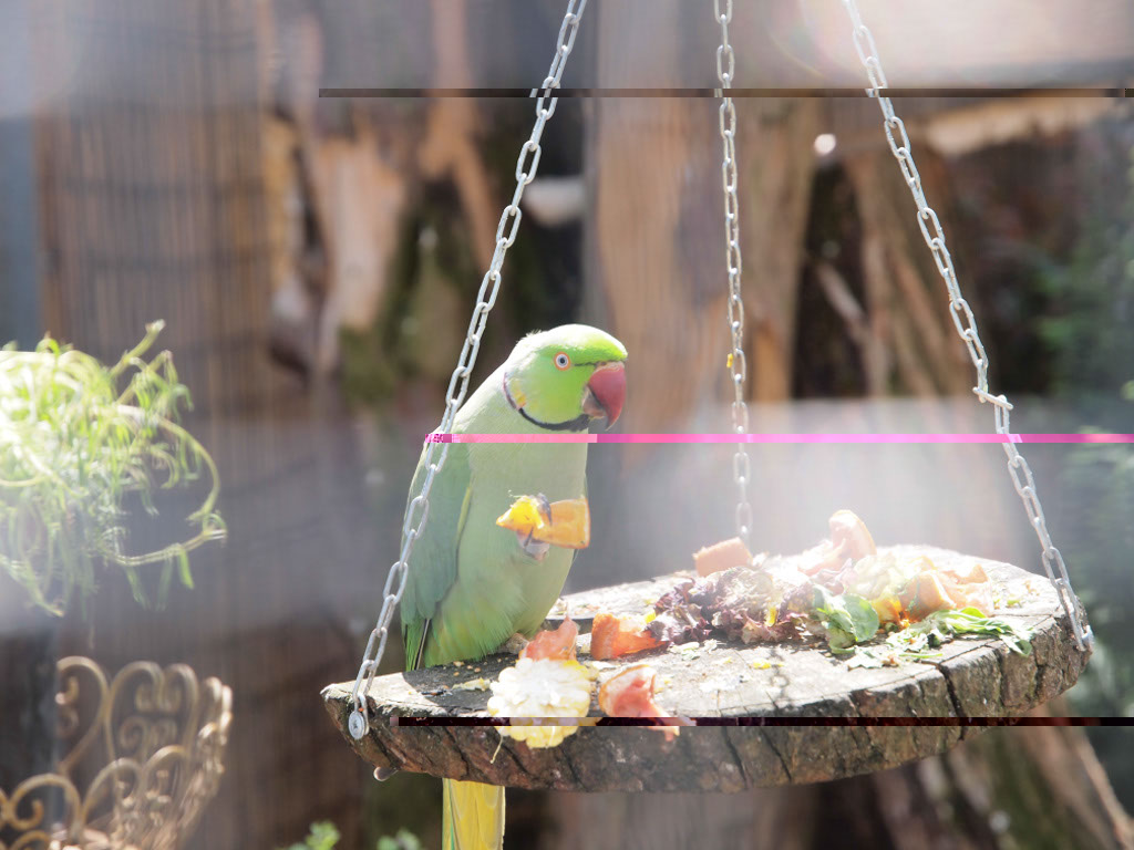%_tempFileNameFauna_09%