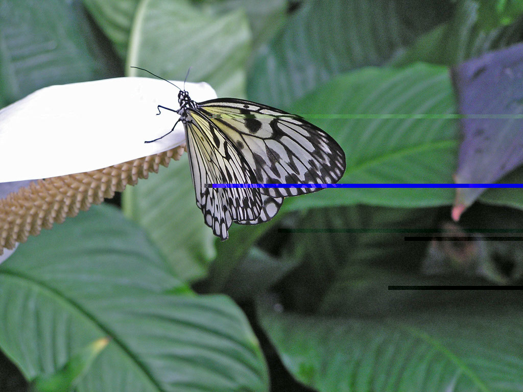 %_tempFileNameFauna_37%