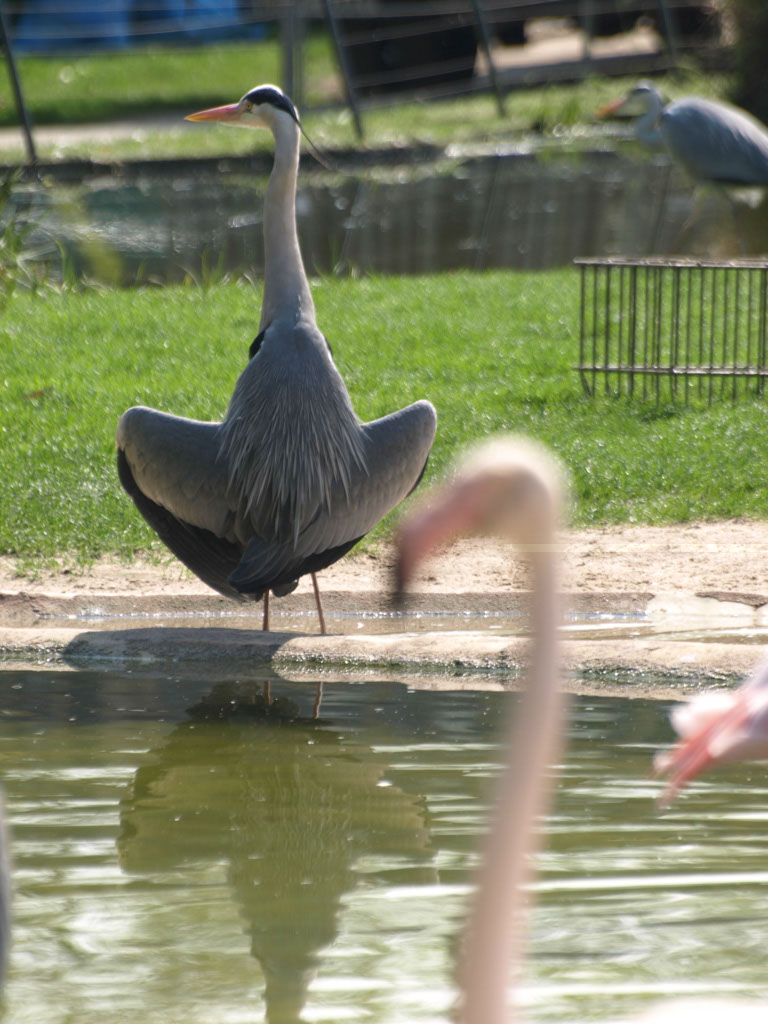 %_tempFileNameFauna_42%