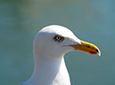 %_tempFileNameBild1033_%