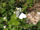 %_tempFileNameBild1054_%