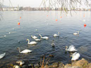 %_tempFileNameBild1058_%
