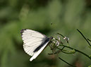 %_tempFileNameBild1078_%
