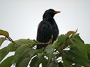 %_tempFileNameBild1085_%