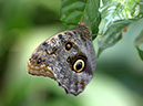 %_tempFileNameBild1144_%