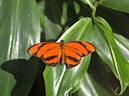 %_tempFileNameBild1145_%