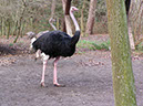 %_tempFileNameFauna_04%