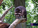 %_tempFileNameFauna_06%
