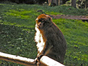 %_tempFileNameFauna_30%