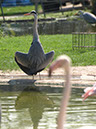 %_tempFileNameFauna_42%