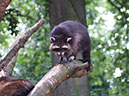 %_tempFileNameFauna_49%