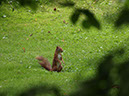 %_tempFileNameFauna_58%