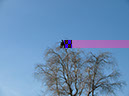 %_tempFileNameFauna_75%