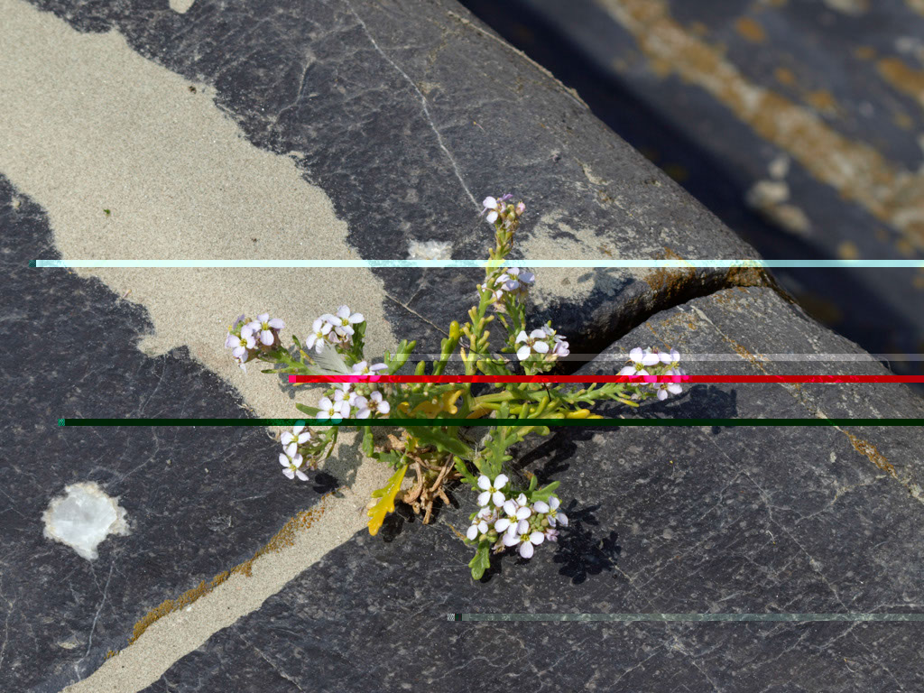 %_tempFileNameFlora_05%