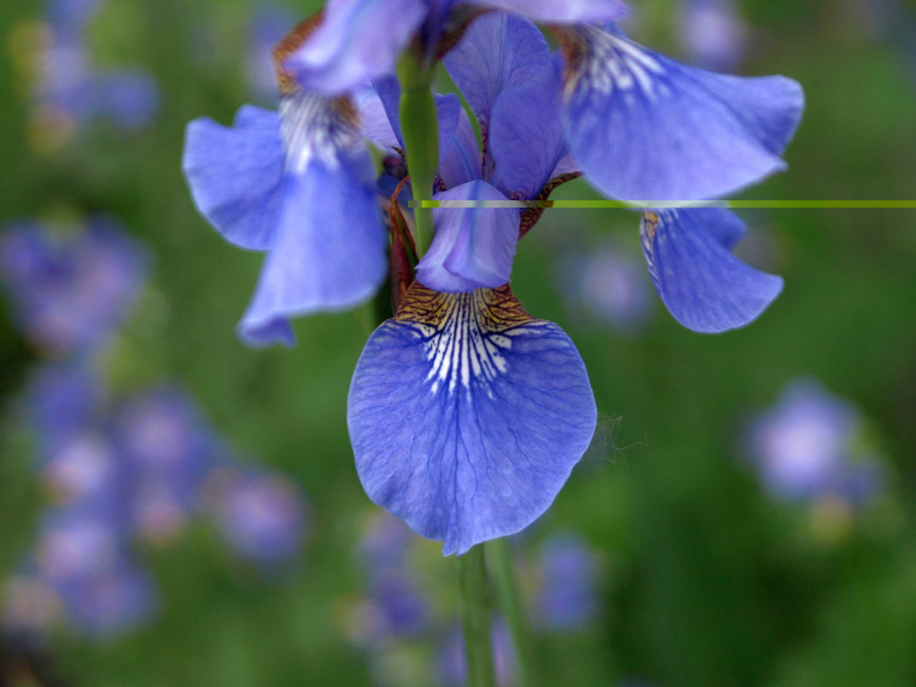 %_tempFileNameFlora_11%