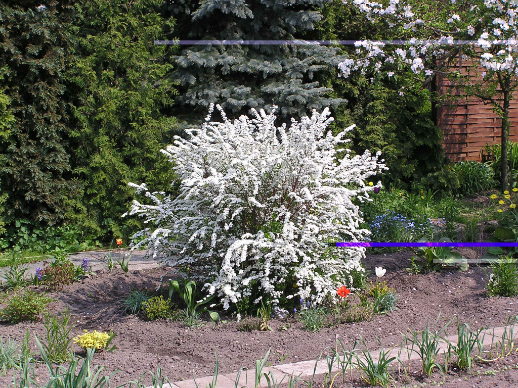 %_tempFileNameFlora_16%