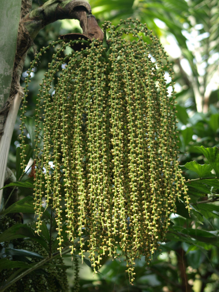 %_tempFileNameFlora_18%