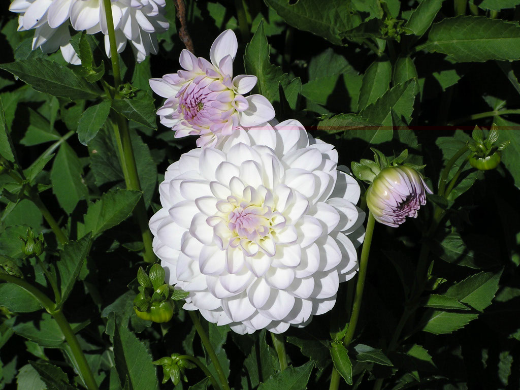 %_tempFileNameFlora_22%
