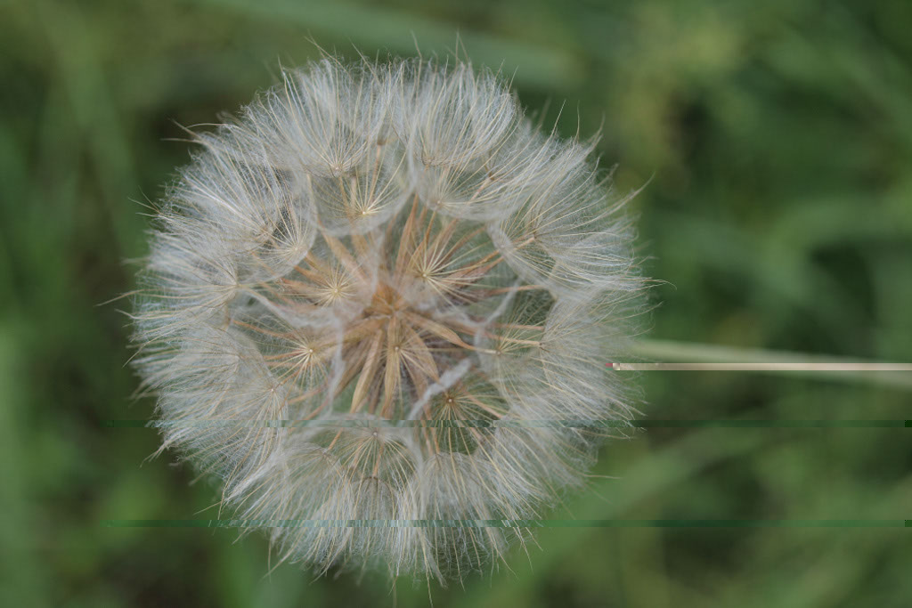 %_tempFileNameFlora_26%