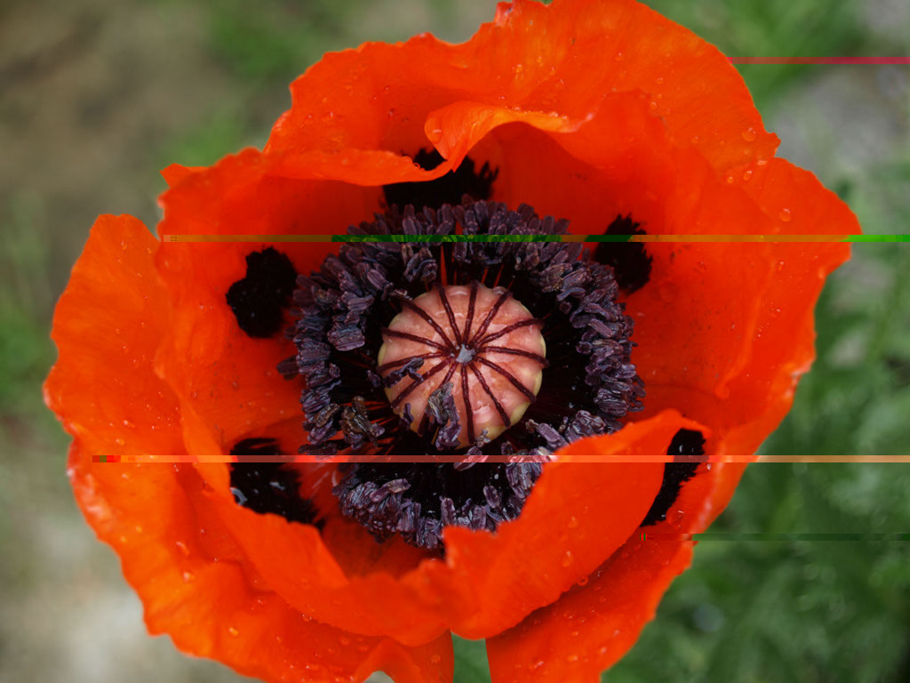 %_tempFileNameFlora_30%