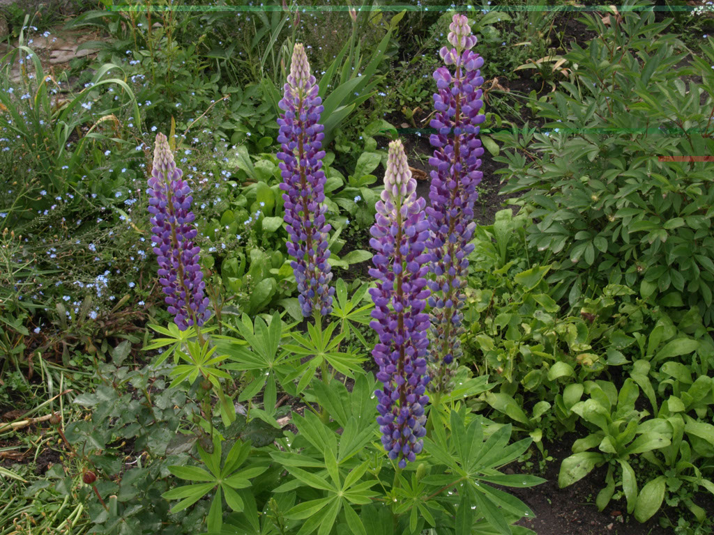%_tempFileNameFlora_32%