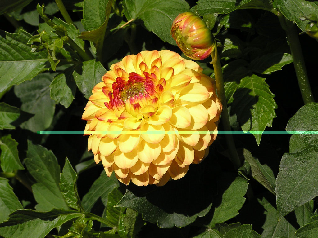 %_tempFileNameFlora_33%