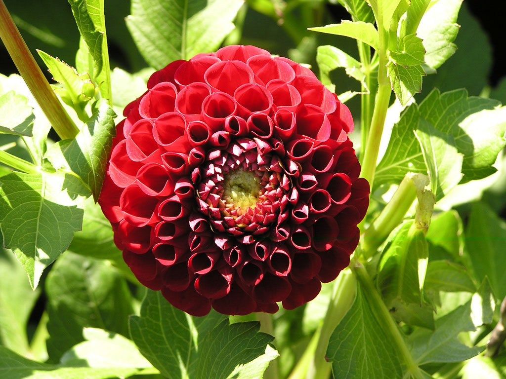 %_tempFileNameFlora_44%