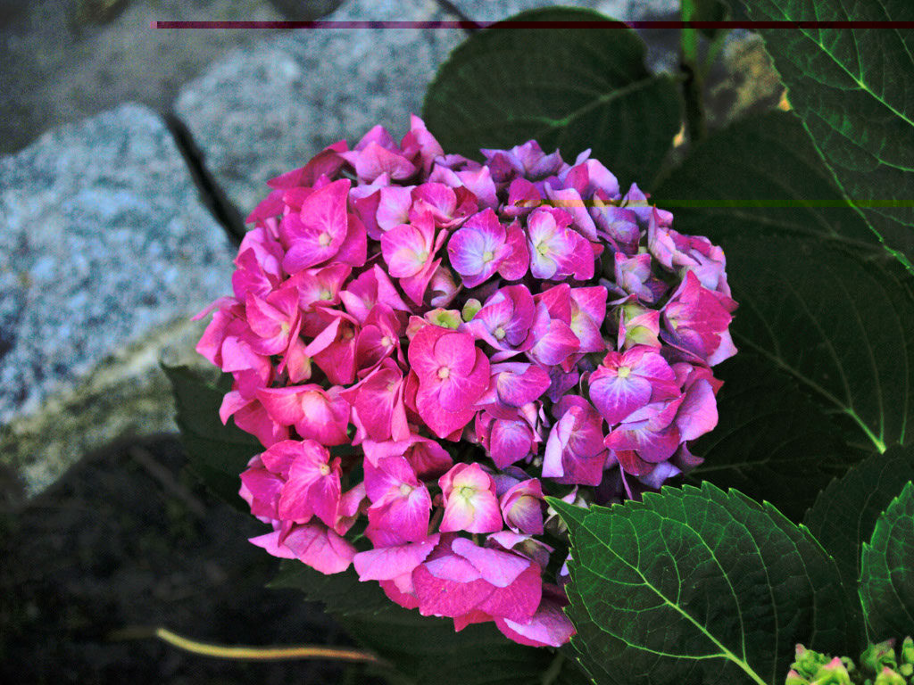 %_tempFileNameFlora_52%
