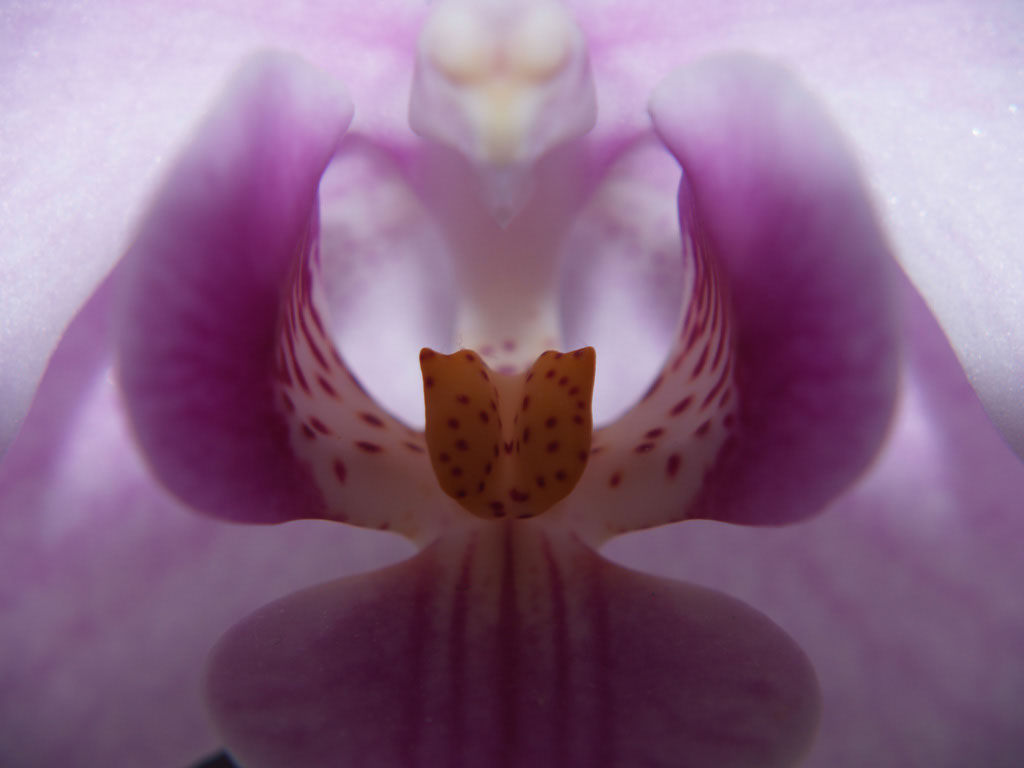 %_tempFileNameFlora_61%