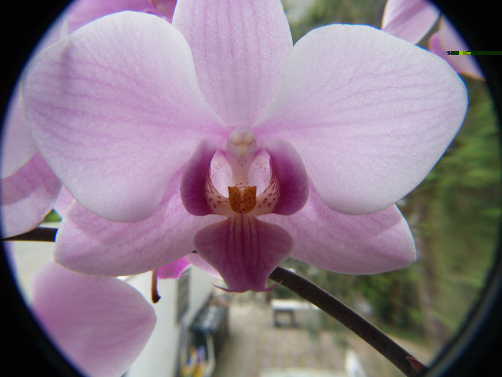 %_tempFileNameFlora_62%