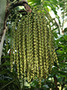 %_tempFileNameFlora_18%