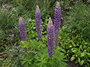 %_tempFileNameFlora_32%