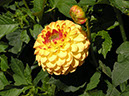 %_tempFileNameFlora_33%