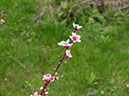 %_tempFileNameFlora_38%