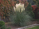 %_tempFileNameFlora_48%