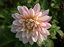 %_tempFileNameFlora_53%