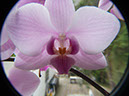%_tempFileNameFlora_62%