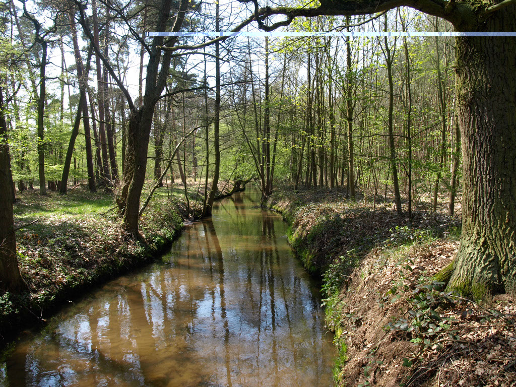 %_tempFileNameLandschaft_03%