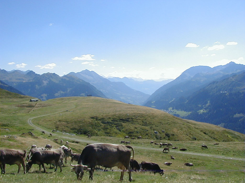%_tempFileNameLandschaft_13%