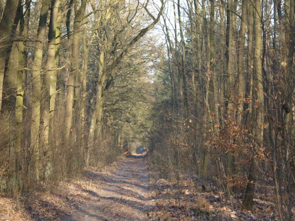 %_tempFileNameLandschaft_22%