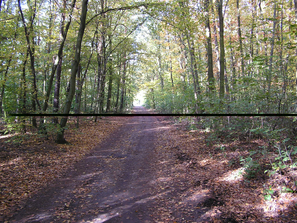 %_tempFileNameLandschaft_45%