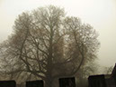 %_tempFileNameLandschaft_01%