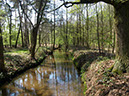 %_tempFileNameLandschaft_03%