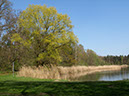 %_tempFileNameLandschaft_04%