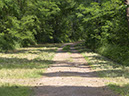 %_tempFileNameLandschaft_09%