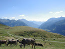 %_tempFileNameLandschaft_13%