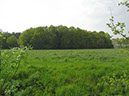 %_tempFileNameLandschaft_16%