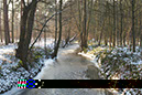 %_tempFileNameLandschaft_25%